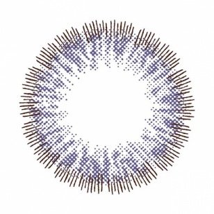 Minette 1Day NakedRain 10片装(日拋)